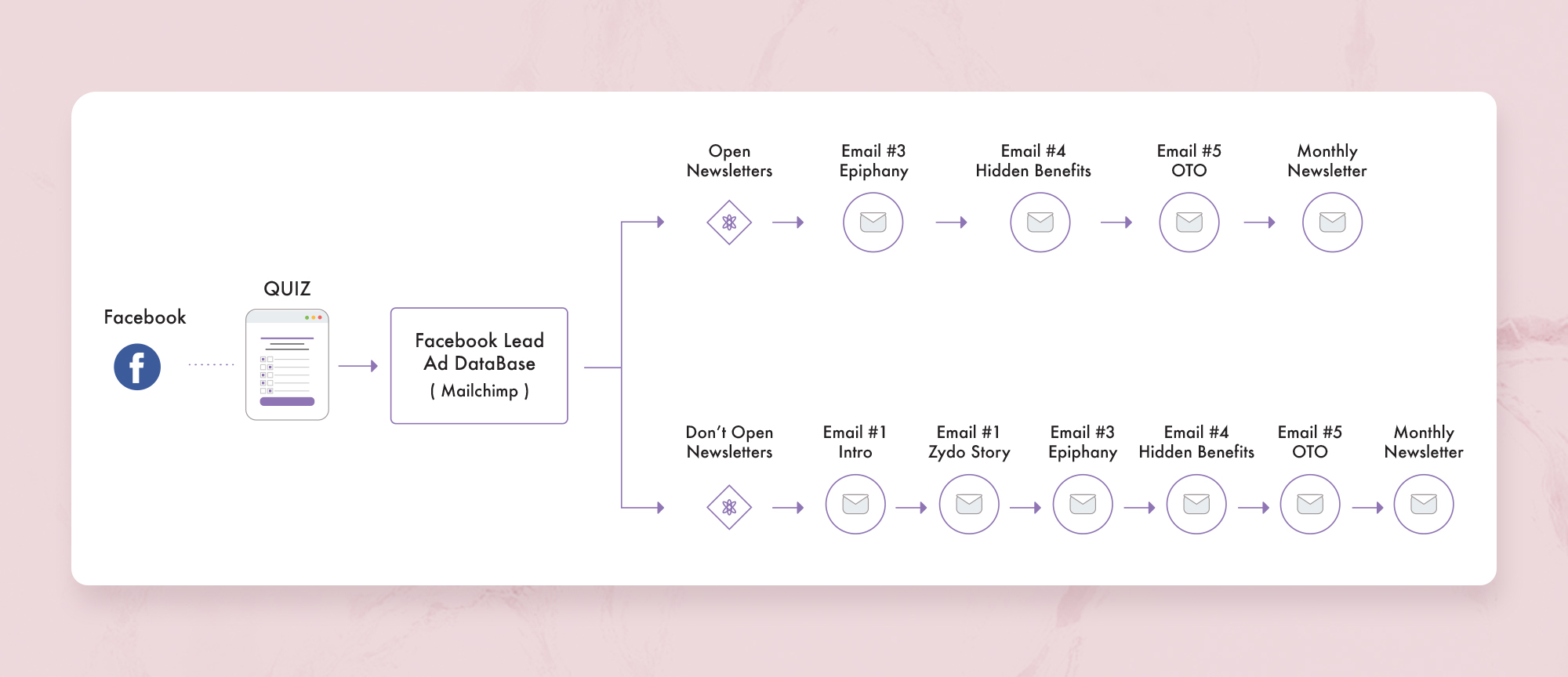 ZYDO Case Study Funnel